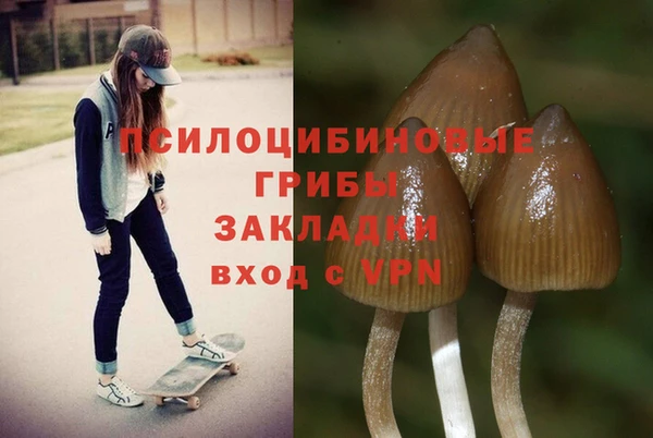 шишки Баксан